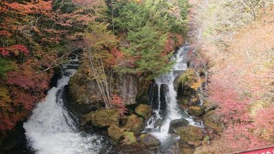 DSC_0326.JPG