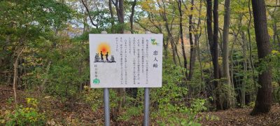 20221103_104552.jpg